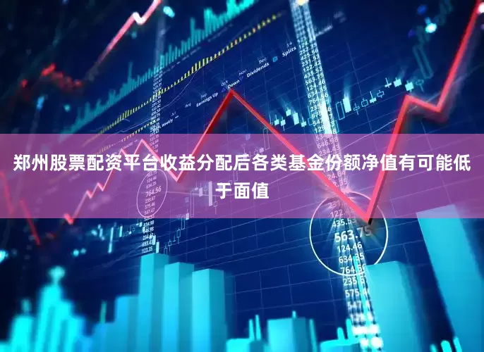 郑州股票配资平台收益分配后各类基金份额净值有可能低于面值